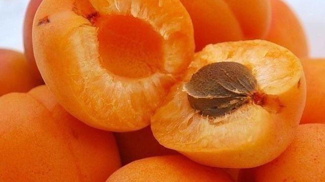 Особенности абрикоса Амур