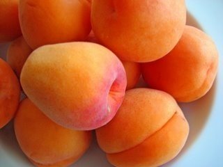 Бухари сорт абрикос