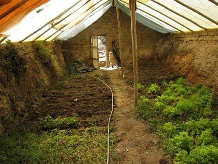 Underground greenhouse with your own hands