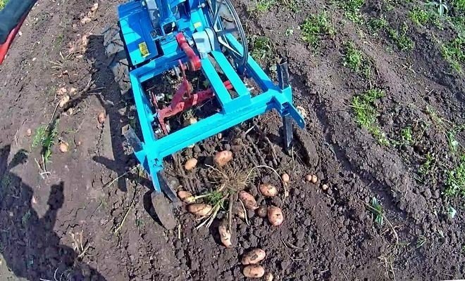Мини копалка картофельная для мини трактора