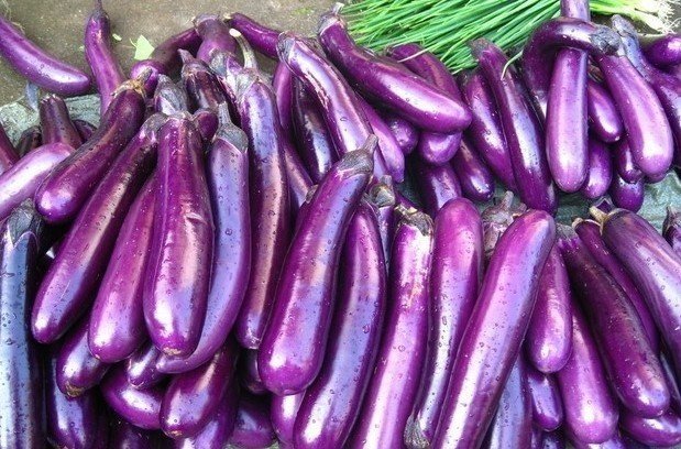 Баклажан длинный фиолетовый седек