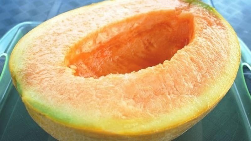 Yubari king melon