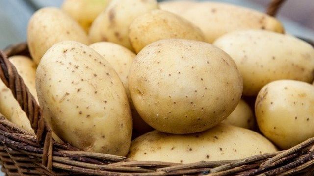 Выращивание и хранение картофеля