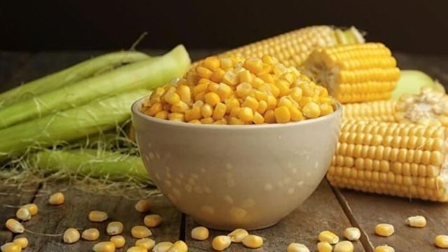 5 сортов вкусной кукурузы, которые порадуют хорошим урожаем
