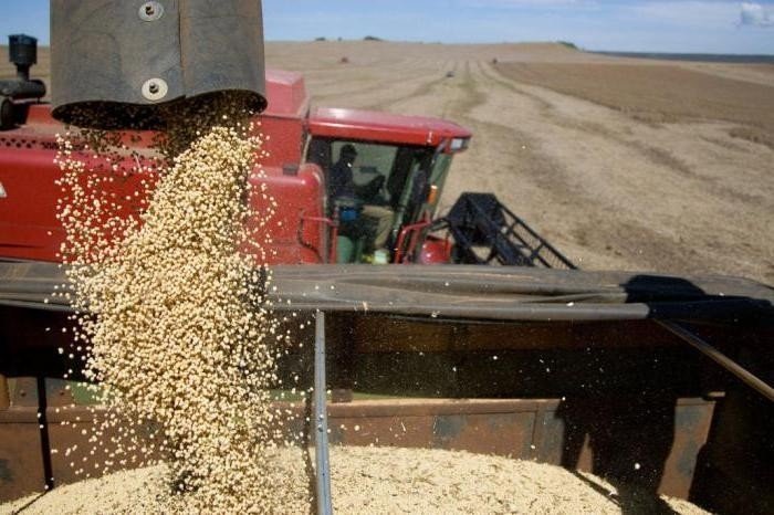 Этап уборки зерновых
