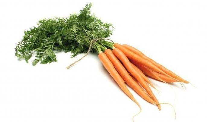 Морковь ботва