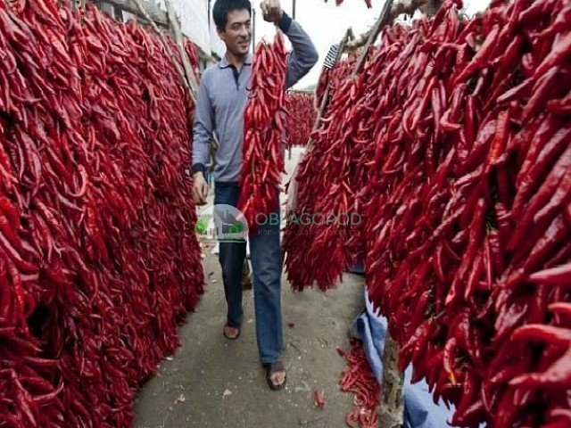 Индия рынок красного перца