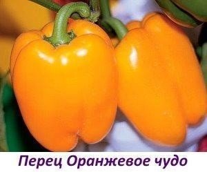 Перец оранжевое чудо семко
