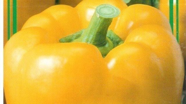 Желтый перец: полезные свойства, калорийность, описание сортов