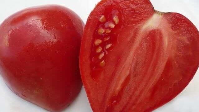 Чем хорош сорт томатов Мазарини: отзывы огородников и рекомендации по выращиванию