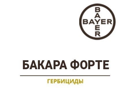 Байер логотип