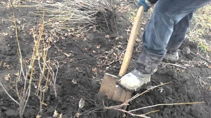 Лопата копать землю сажать