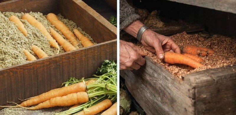 Короб для моркови в погребе