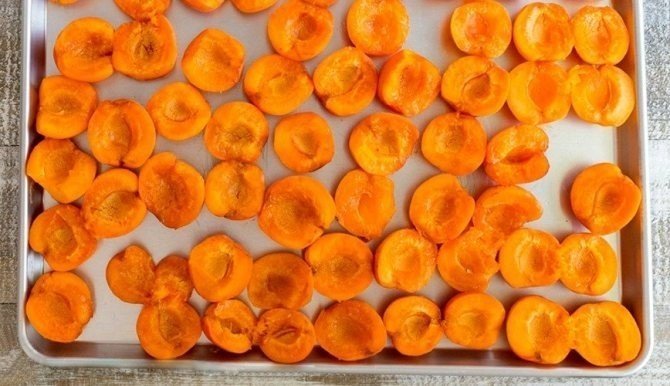 Сушение абрикосов в духовке